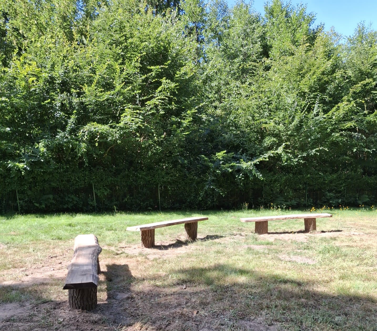 Neue Bänke Waldfriedhof Trutzhain